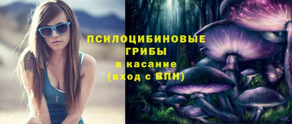трава Балахна